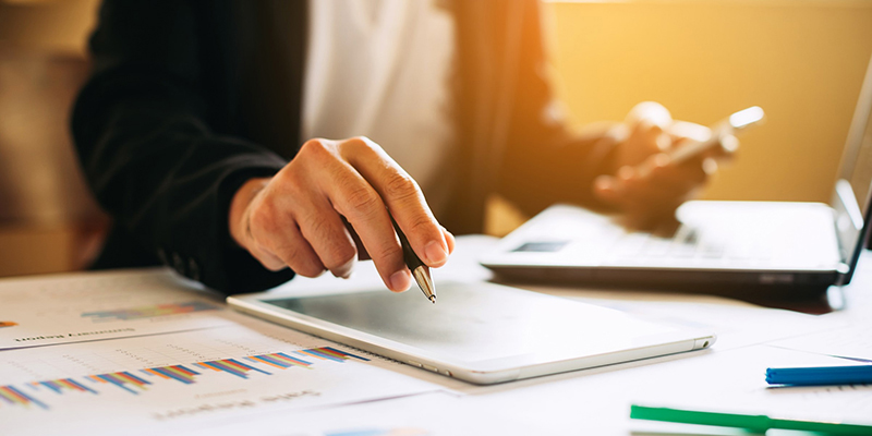 Companies House Identity Verification 