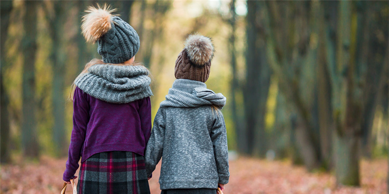 Family Investment Companies